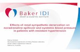 Effects of renal sympathetic denervation on noradrenaline ... - Renal Spillover Presentation... · Effects of renal sympathetic denervation on noradrenaline spillover and systemic