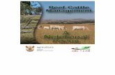 Compiled by the ARC Department of · PDF fileDepartment of Agriculture This manual was compiled to fulfill the institutional mandate of ... Most roughages are low in quality and must