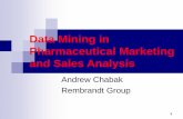 Data Mining in Pharmaceutical Marketing and Sales …rembrandtgroup.com/.../08/Data-Mining-in-Pharmaceutical-Marketing... · 2 Contents What is Data Mining? Data Mining vs. Statistics: