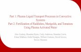 Part 1: Plasma-Liquid Transport Processes in Convective · PDF fileJournal of Physics D: Applied Physics. 47.16 (2014): 165201 .) • Talk overview – Momentum transport: gas phase