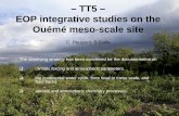 TT5 – EOP integrative studies on the Ouémé meso-scale siteamma-international.org/meetings/Workshops/biarritz/docs/TT5... · EOP integrative studies on the Ouémé meso-scale site