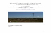 Bird migration monitoring in the AES Geo Power Wind Park ... · PDF file1 Bird migration monitoring in the AES Geo Power Wind Park territory, Kaliakra region, in autumn 2010 Dr. Pavel
