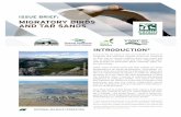 ISSUE BRIEF: MIGRATORY BIRDS AND TAR SANDS/media/PDFs/Global-Warming/2014/nwf_issue_briefs... · MIGRATORY BIRDS AND TAR SANDS Flickr: Protect the Peel ... tat many bird species depend