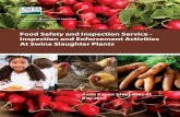 United States Department of Agriculture · PDF fileinspection of swine ... Madison, Wisconsin; Minneapolis, Minnesota ... Issues Impacting the Development of Risk-based Inspection