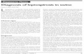 Diagnosis of leptospirosis in swine - AASV · PDF filetions, stillbirths, weak pigs, and infertility. Diagnosis Diagnosing leptospirosis in swine is a challenge. The most com- ...