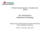 Pemex Exploración y Producción (PEP) - US EPA · PDF fileconditioning Processing Refining ... Gas processing plants Cactus, Ciudad PEMEX, ... • Pemex Exploración y Producción