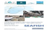 Aquaculture Opportunities for Enclosed Marine Water · PDF fileClosing the Circle Report I: Aquaculture Opportunities for Enclosed Marine Water Bodies ... Closing the Circle Report