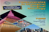 Controversies in Urological Surgical - ipasvi.torino.itipasvi.torino.it/download/file/PROGRAMMA egus-23.pdf · Controversies in Urological Surgical Oncology 22-23 September 2016 Congress