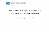 Health and Safety - tcd.ie Docs...  · Web viewHeads of Departments responsibilities in relation to safety include the following: To ensure that a departmental safety statement is