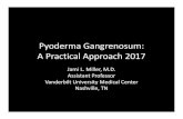 PyodermaGangrenosum: A Practical Approach 2017 U013... · – Typical clinical presentation ... – RA, SLE, Sjogrens ... Microsoft PowerPoint - FOC U013 - Miller - 12533 10121 Author: