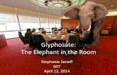 Glyphosate: The Elephant in the Room - Unite For · PDF fileGlyphosate: The Elephant in the Room . Stephanie Seneff . MIT . ... • Monsanto has argued that glyphosate is harmless