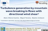 Turbulence generation by mountain wave breaking in flows ... · PDF file3D plots showing every point in the computational ... •In a wave breaking event, the background wind vector