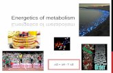 Energetics of metabolism - · PDF fileMetabolism = all the chemical reactions that ... Transfer or transformation of energy in a cell ... Anabolism Energy changes in exergonic and