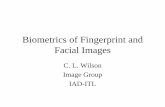 Biometrics of Fingerprint and Facial Images - NIST · PDF fileBiometrics of Fingerprint and Facial Images C. L. Wilson Image Group IAD-ITL. ... –SDK tests –IDENT ... D Cogent Systems,
