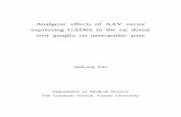 Analgesic effects of AAV vector expressing GAD65 in the ... · PDF fileexpressing GAD65 in the rat dorsal root ganglia on neuropathic pain Directed ... Microdialysis ----- 11 7. HPLC