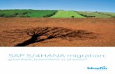 SAP S/4HANA migration to the SAP HANA database is a Unicode encoding system. If your ... SAP P SAP N Nonnio Simple Finance SAP P HP SAP N SAP HANA SAP P HP SAP N 4
