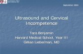 Ultrasound and Cervical Incompetenceeradiology.bidmc.harvard.edu/LearningLab/genito/Benjamin.pdf · Ultrasound and Cervical Incompetence Tara Benjamin Harvard Medical School, Year