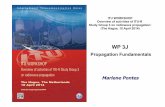 Propagation Fundamentals Marlene Pontes - itu.int · PDF fileMarlene Pontes WP 3J Propagation Fundamentals . ITU Workshop: Overview of activities of ITU-R Study Group 3 on radiowave