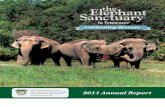 Celebrating 20 years - The Elephant  · PDF fileCelebrating 20 years. The Elephant Sanctuary in ... The Elephant Sanctuary in Tennessee is the . ... Sandra Atlas Bass & Edythe and