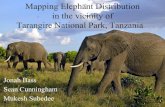 Mapping Elephant Distribution in and Around Tarangire ...staff.tamucc.edu/msubedee/elephant.pdf · Mapping Elephant Distribution in the vicinity of Tarangire National Park, Tanzania