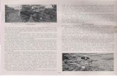 Castle 119th History Book.pdf · though the enemv was still blanketing the ... from the outside, in trenches and tank traps, ... Xls aq pup Inoqönoxqa St
