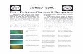 Paint Failures-Causes & Remedies - Paint  · PDF fileCreated Date: 6/9/2011 7:38:09 PM