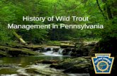 History of Wild Trout Management in · PDF filelures): 1st biologically based special regulation ... Wetlands on flood plains of wild trout streams & ... Slide 1 Author: Dave Miko