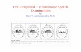 Oral Peripheral + Neuromotor Speech Examinationspeople.umass.edu/mva/pdf/oral periph neuromotor exam_09.pdf · Swallowing with Sensory Testing – (FEESST) Phonation and Pitch •