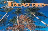 ALABAMA’S TREASURED - State of Alabama - Forestry · PDF file2 / Alabama’s TREASURED Forests Fall 2005/Winter 2006 ... Administration Bart Williams ... burning and planting of