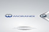 special IN shapes and materials - Meccaniche Morandimeccanichemorandi.com/media/brochure-meccaniche-morandi.pdf · special IN shapes and materials ... en iSo 898-1 en iSo 898-2 Carbon