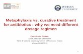 Metaphylaxis vs. curative treatment for antibiotics : why …physiologie.envt.fr/wp-content/uploads/2007/04/metaphylaxis_vs... · Metaphylaxis vs. curative treatment for antibiotics