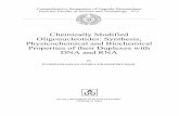 Chemically Modified Oligonucleotides: Synthesis, Physicochemical · PDF fileChemically Modified Oligonucleotides: Synthesis, Physicochemical and Biochemical Properties of their Duplexes
