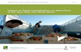 Impact of Trade Liberalization on Agriculture in the Near ... · PDF fileImpact of Trade Liberalization on Agriculture in the Near East and North Africa NEAR EAST AND NORTH AFRICA
