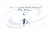 The Cure for Chronic Wounds E-QURE Corp Web Presentation - Nov 2016.pdf · The Cure for Chronic Wounds E-QURE Corp OTCQB: EQUR ... may resultfrom sepsis that can beassociated with