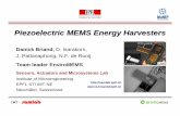 Piezoelectric MEMS Energy Harvesters - BFH · PDF filePiezoelectric MEMS Energy Harvesters Danick Briand, ... Vibration sources ... Exciter Control Type 1050 Resistor High g shaker