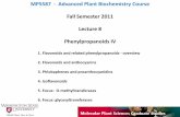 MPS587 - Advanced Plant Biochemistry Course Fall …public.wsu.edu/~lange-m/Documnets/Teaching2011/Lecture8_Phenylpr… · MPS587 - Advanced Plant Biochemistry Course Fall Semester