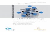 Volume 2 - Octobre 2012 Livre Blanc - brehm.frbrehm.fr/PDF/USF LBlc SolMan 2012.pdf · SAP Solution Manager Décrypter, comprendre et mettre en valeur ... Nouvelle interface CRM WebUI