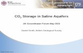 CO2 Storage in Saline Aquifers - The UK Groundwater · PDF filecritical –leakage undermines economics, public acceptance and environmental benefits (although contrast local impacts