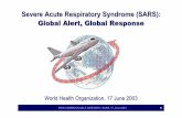 Severe Acute Respiratory Syndrome (SARS) - · PDF fileSevere Acute Respiratory Syndrome (SARS) ... Malaysia (5) South Africa (1) Canada ... epidemiology and patient care can work together