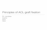 Principles of ACL graft fixation -  · PDF fileMeasured in newtons (N) ... techniques: the impact of ﬁxation level and ﬁxation method ... Principles of ACL graft fixation