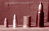 Ammunition collected during the disarmament process ... · PDF fileAmmunition collected during the disarmament process ... In policy-relevant small arms research ammunition ... path