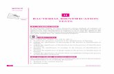 11 BACTERIAL IDENTIFICATION  · PDF file11 BACTERIAL IDENTIFICATION TESTS 11.1 INTRODUCTION ... positive organism, there are several other species of Staphylococcus which are