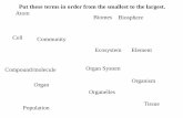 Put these terms in order from the smallest to the  · PDF filePut these terms in order from the smallest to the largest. Levels of Organization • Biosphere