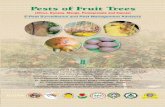 Pest of Fruit - Integrated pest · PDF fileXXX NCIPM Foreword The project on e pest surveillance was launched during year 2011-12 by commissionerate of Agriculture (Horticulture),