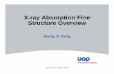 X-ray Absorption Fine Structure OverviewStructure  · PDF fileX-ray Absorption Fine Structure OverviewStructure Overview ... EXAFS Equation and Signal ... using atomic clusters to
