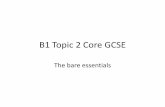 B1 Topic 2 Core GCSE - Holgate Ac Papers/B1 Topic 2 Revisio… · B1 Topic 2 Core GCSE The bare essentials. THE NERVOUS SYSTEM. ... the nervous system This is the structure of a sensory