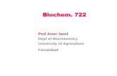 Prof Amer Jamil Dept of Biochemistry University of Agriculture  · PDF fileBiochem. 722 Prof Amer Jamil Dept of Biochemistry University of Agriculture Faisalabad