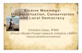 Elusive meanings : decentralization, conservation and ... · PDF fileli ME i Elusive Meanings: Decentralization, Conservation and Local Democracy ... ´Nagaland, Maharashtra & Orissa