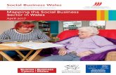 Mapping the Social Business Sector in Waleswales.coop/wp-content/uploads/Social-Business-Mapping-Report-28... · 01 Mapping the Social Business Sector in Wales Contents/Figures/Tables