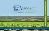 EXCELLENCE IN TOBACCO SEED &  · PDF fileEXCELLENCE IN TOBACCO SEED & BREEDING ... AGRONOMY TECHNICAL SUPPORT. ... conditions, are not concerned by this information,